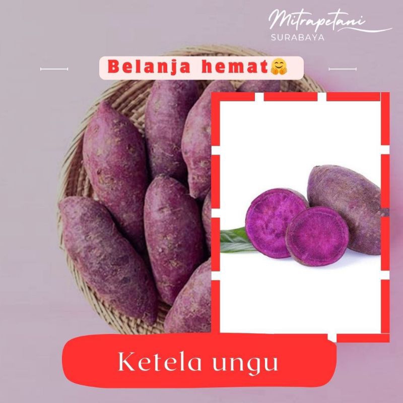 

ketela ungu /ubi ungu 500 gr