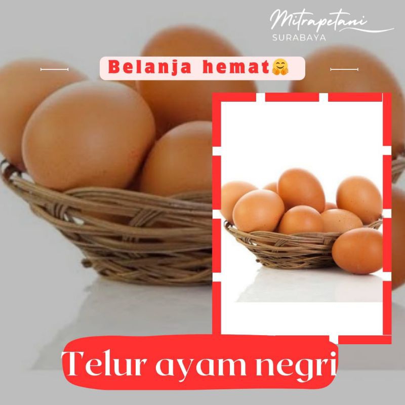 

Telur ayam negri/telur ayam isi 6 pcs