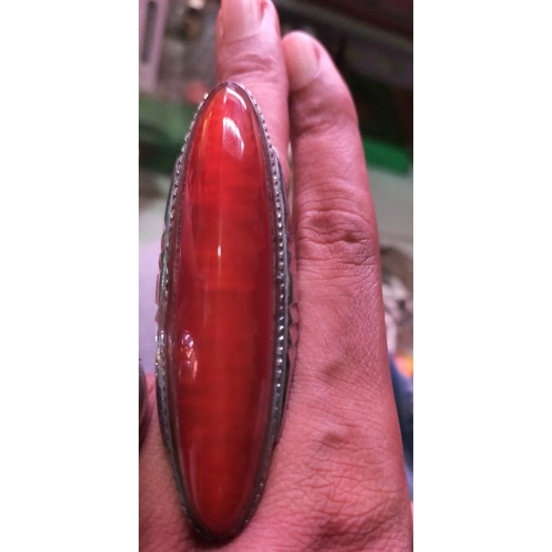 batu pandan merah rudal jumbo panjang