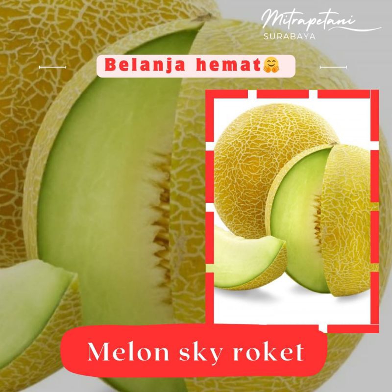 

melon sky roket/melon sky/melon hijau/melon fresh/buah segar