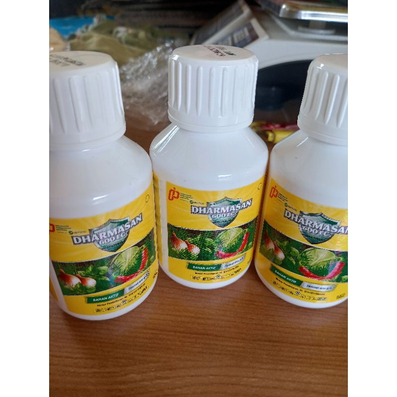 Insektisida Dharmasan 600EC 100ml