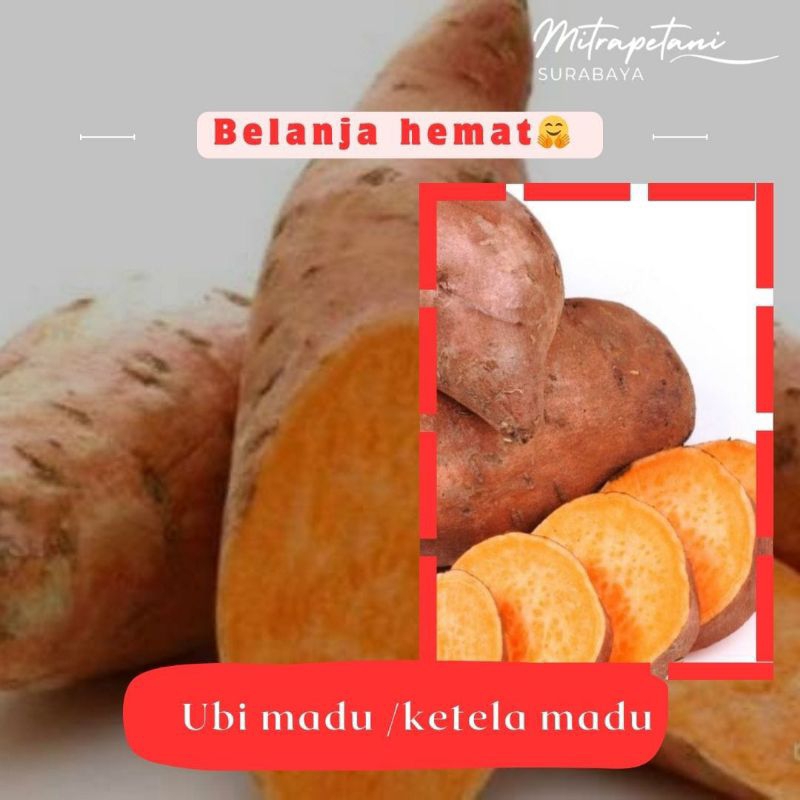 

ketela madu /ubi madu 500 gram