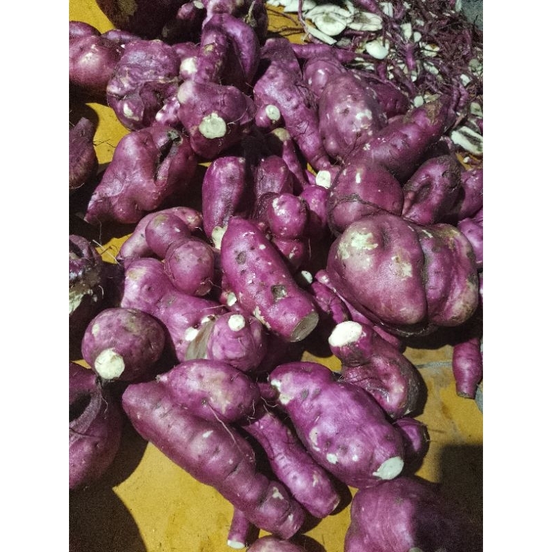 

ketela rambat Muria manis