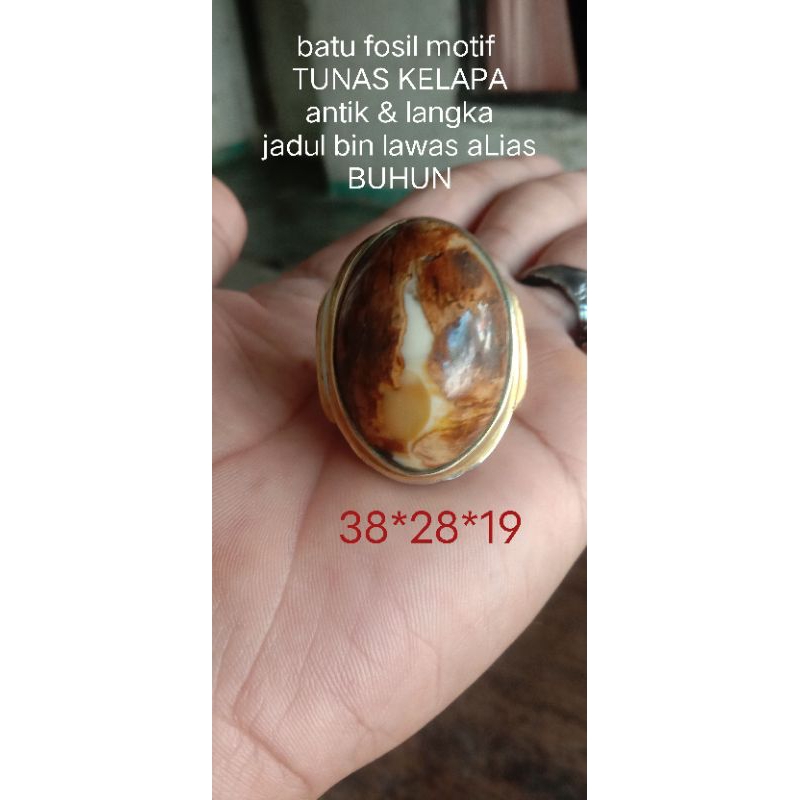 batu fosiL pohon randu motif keris nangtung  & motif TUNAS KELPA Lambang pramuka