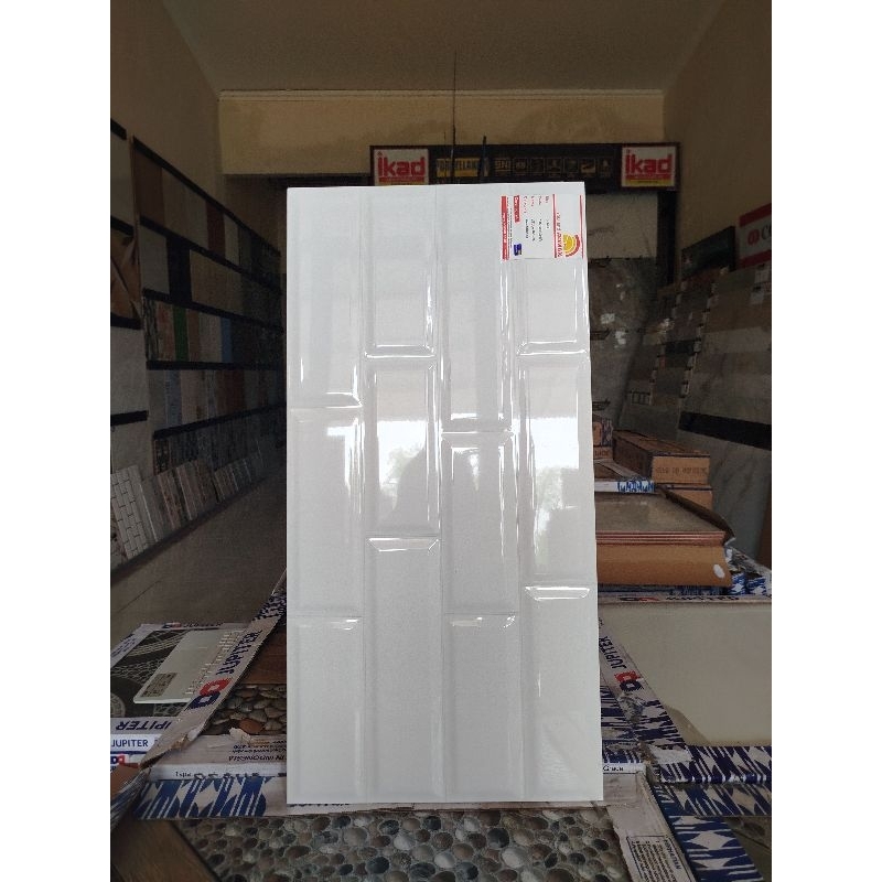 Keramik 30x60 Roman W63801R dTube White