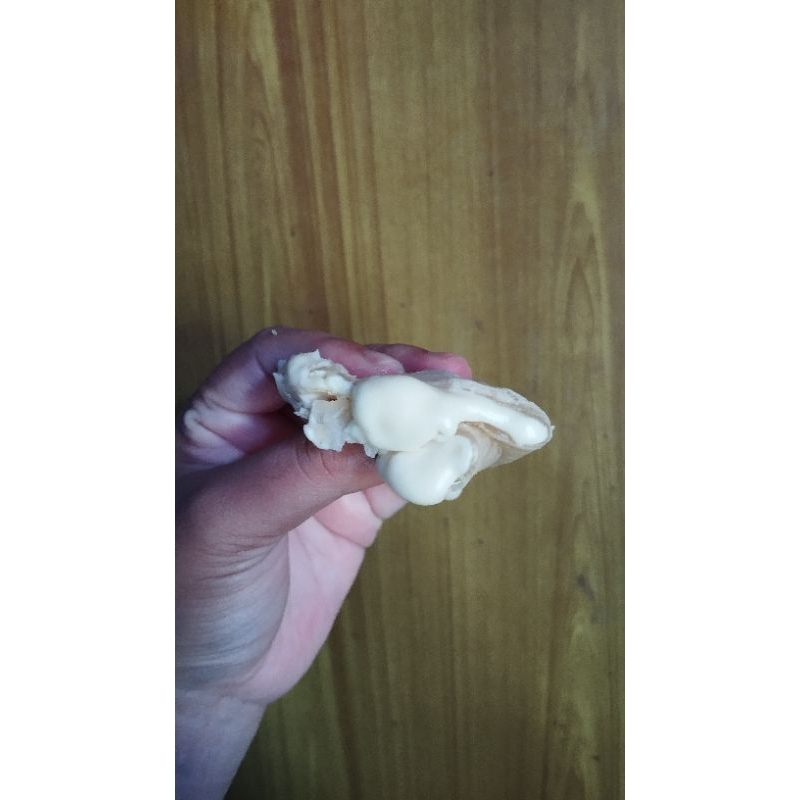 

CIRENG KEJU LUMER