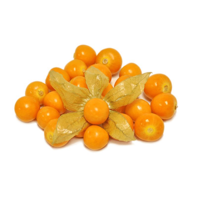 

golden berry beku 500 gram/buah golden berry/buah ciplukan