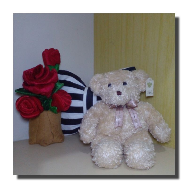 Teddy House / Preloved