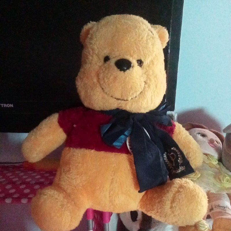boneka Pooh preciality