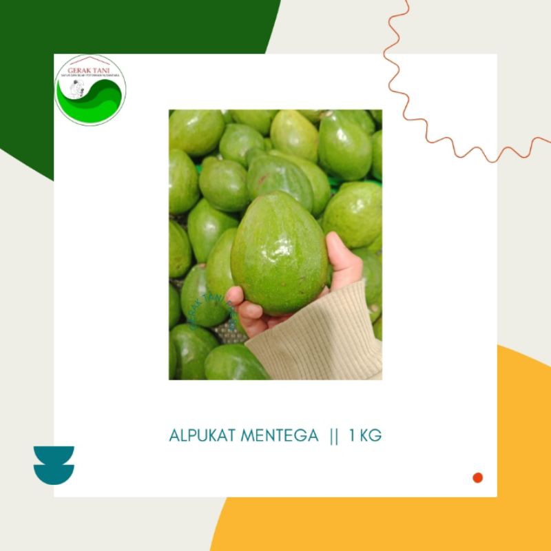 

Alpukat Mentega