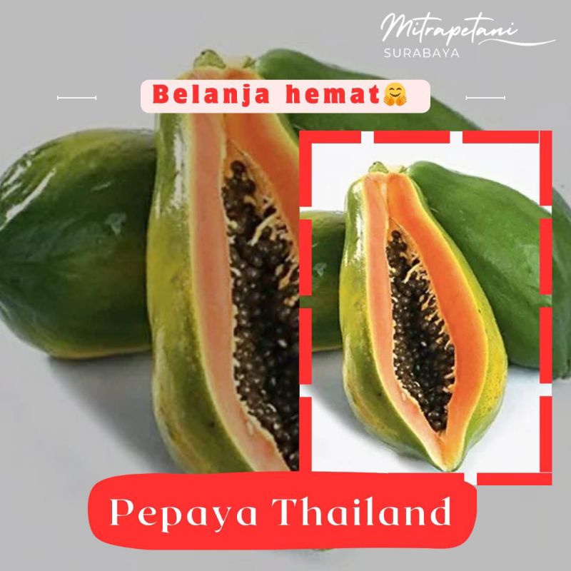 

Pepaya thailand/pepaya thailand 1 buah/pepaya thailand segar/buah fresh