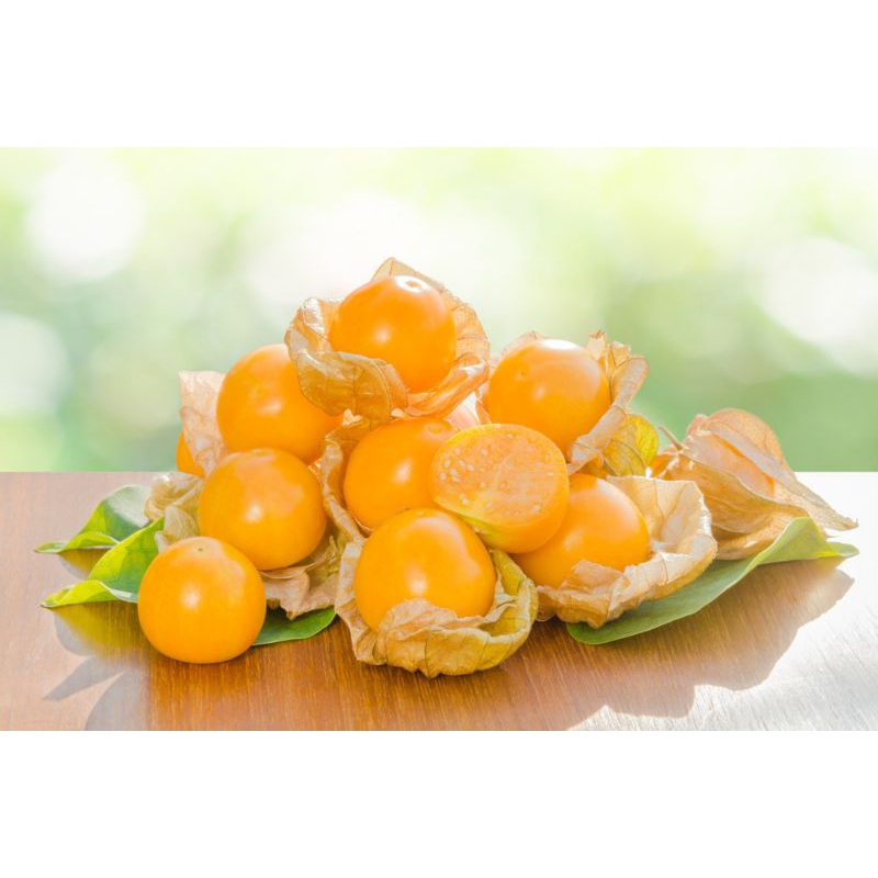 Buah golden berry(buah beku 500 gram) golden berry beku, golden berry/ciplukan/buah ciplukan