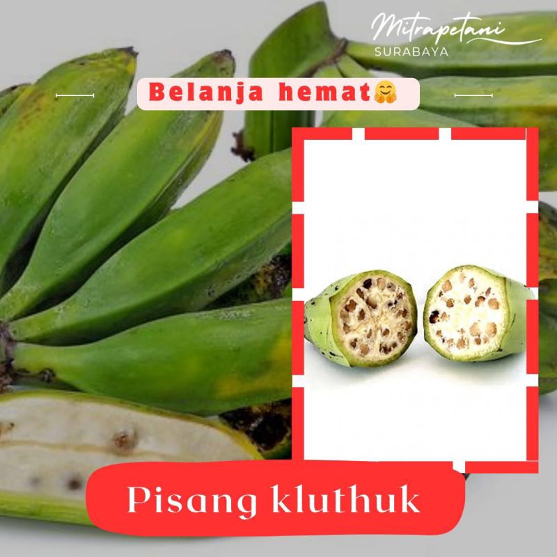 

Pisang klutuk/pisang klutuk 1 sisir
