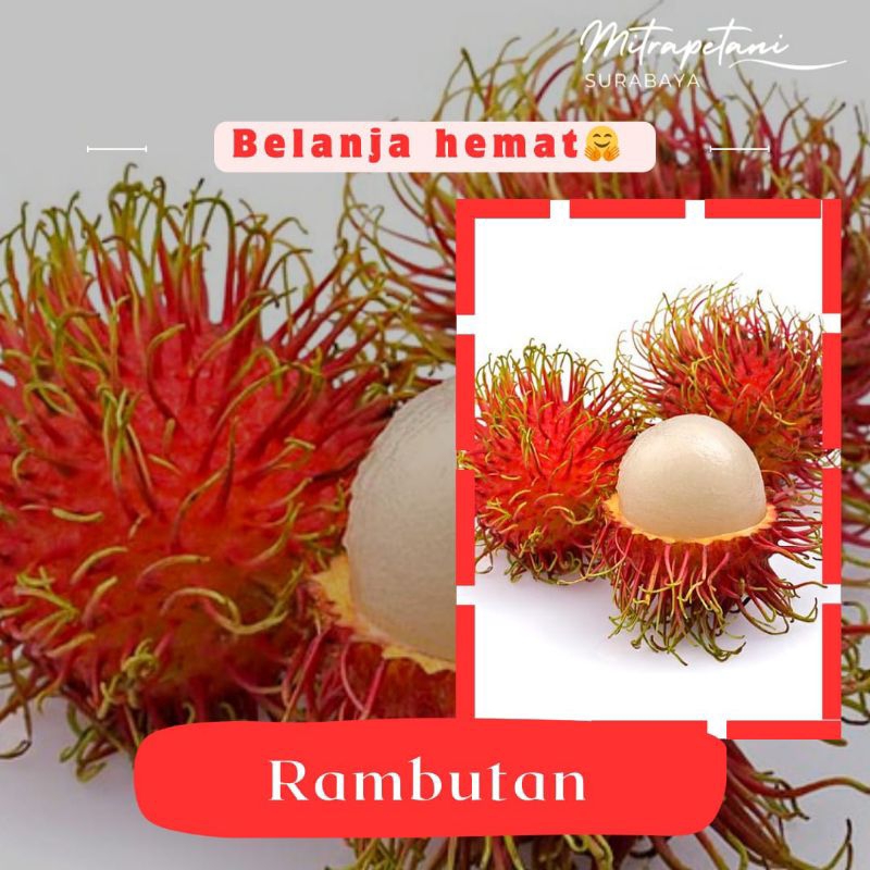 

Rambutan/buah rambutan 1kg/rambutan segar/buah fresh