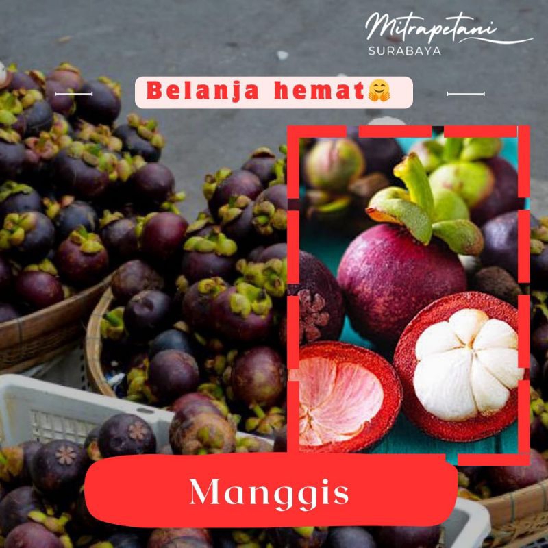 

Manggis 1kg/buah manggis/buah manggis segar