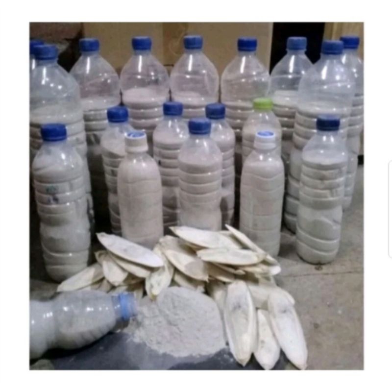 Tepung Tulang Sotong Halus Kemasan 1 Kg / Pakan Ternak