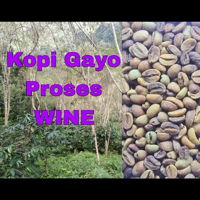 

KOPI GAYO PROSES WINE