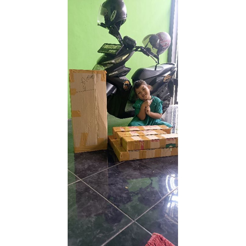 3 bibit anggur impor