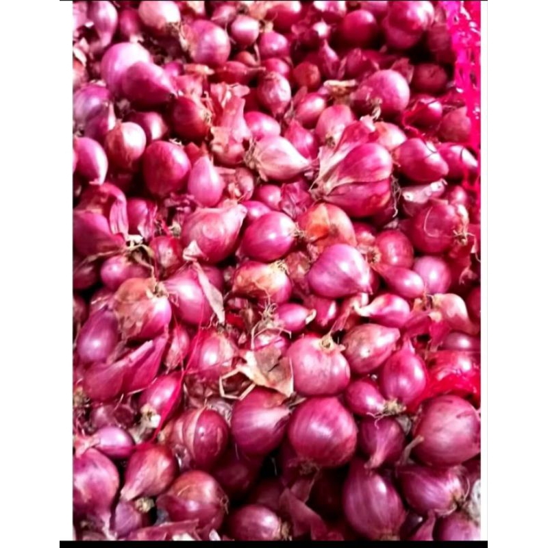 

Bawang Merah Lokal Murah