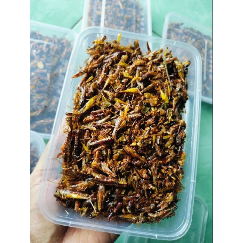 

belalang padi goreng