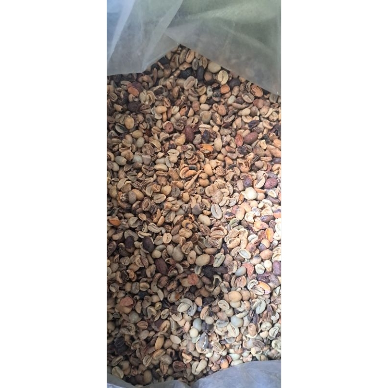 

KOPI CABUTAN 1 KG 5 MILIMETER