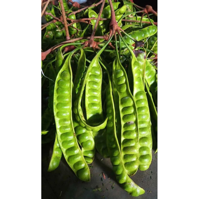 

petai kulit setengah kg