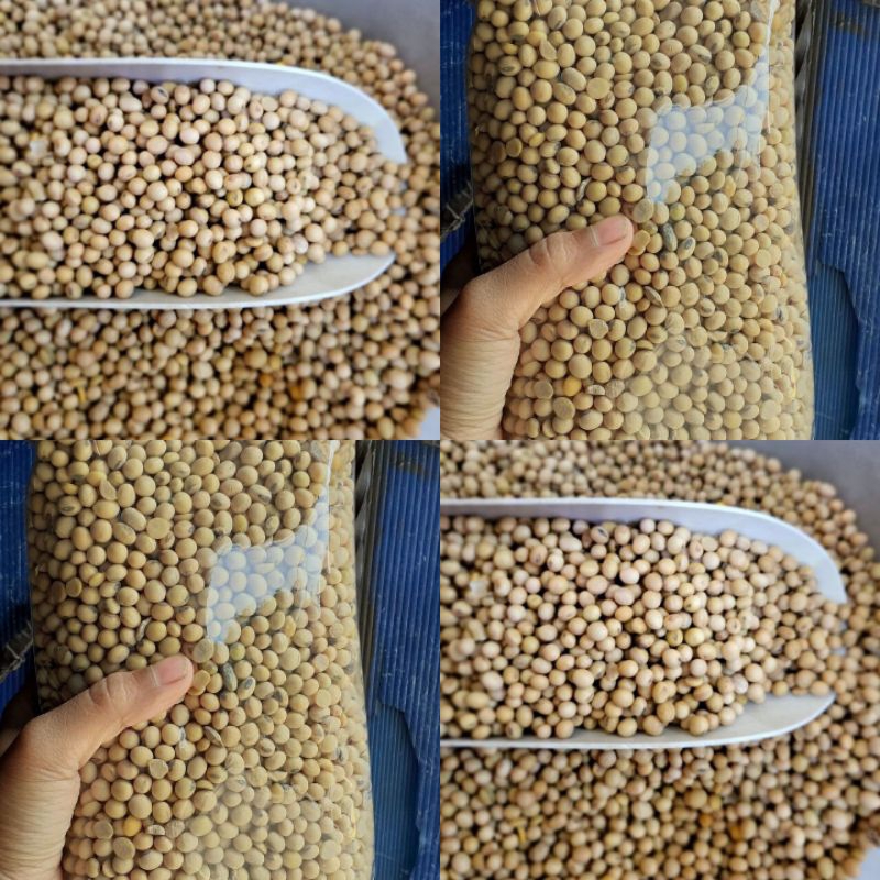 

kacang kedelai 1kg