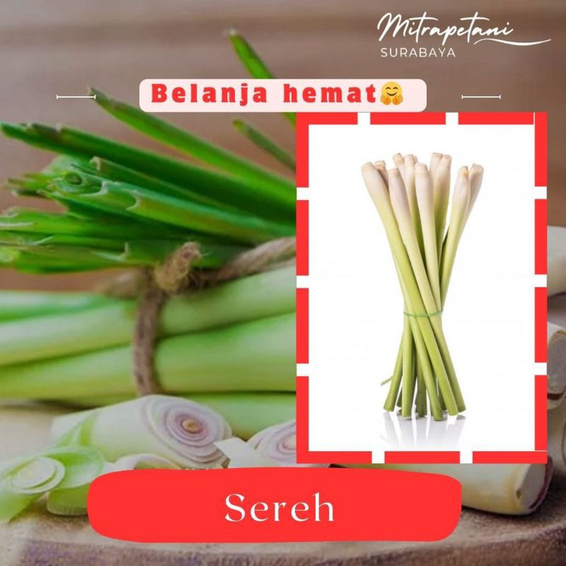 

Daun sereh/serai 250 gram,daun sereh,daun serai segar