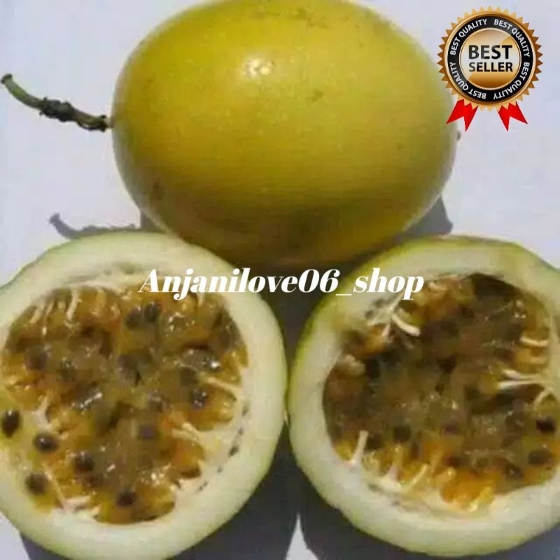 

markisa segar kuning 1kg