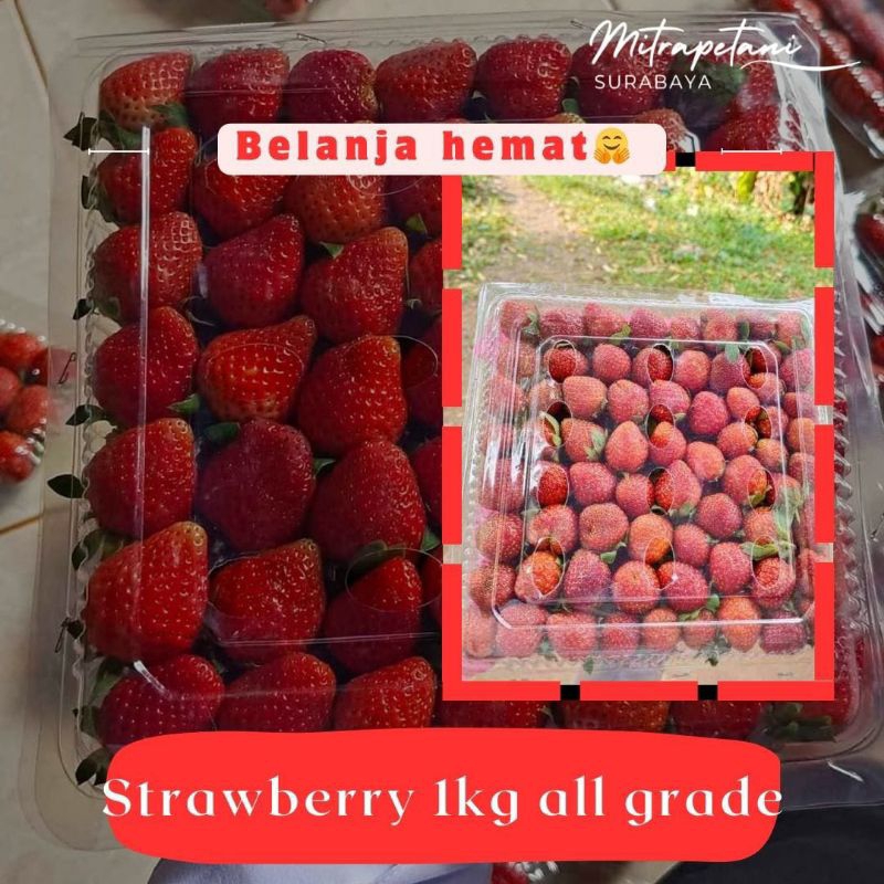 

Strawberry fresh all grade 1kg/strawberry segar/strawberry fresh