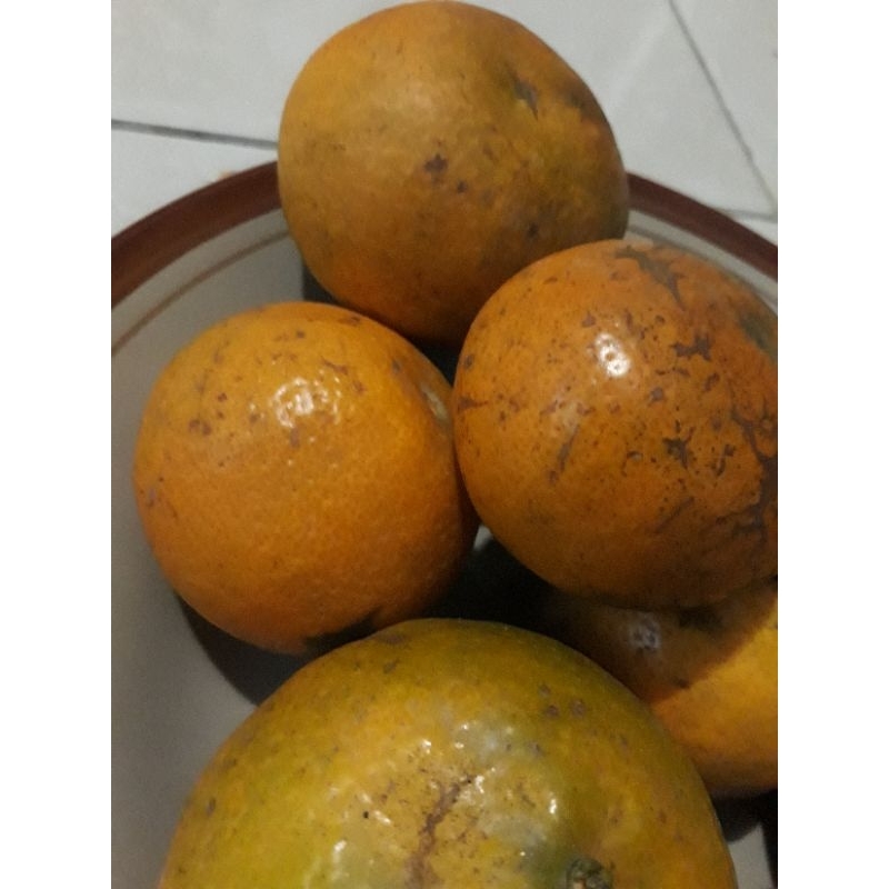 

Jeruk Madu Berastagi (Only Medan)