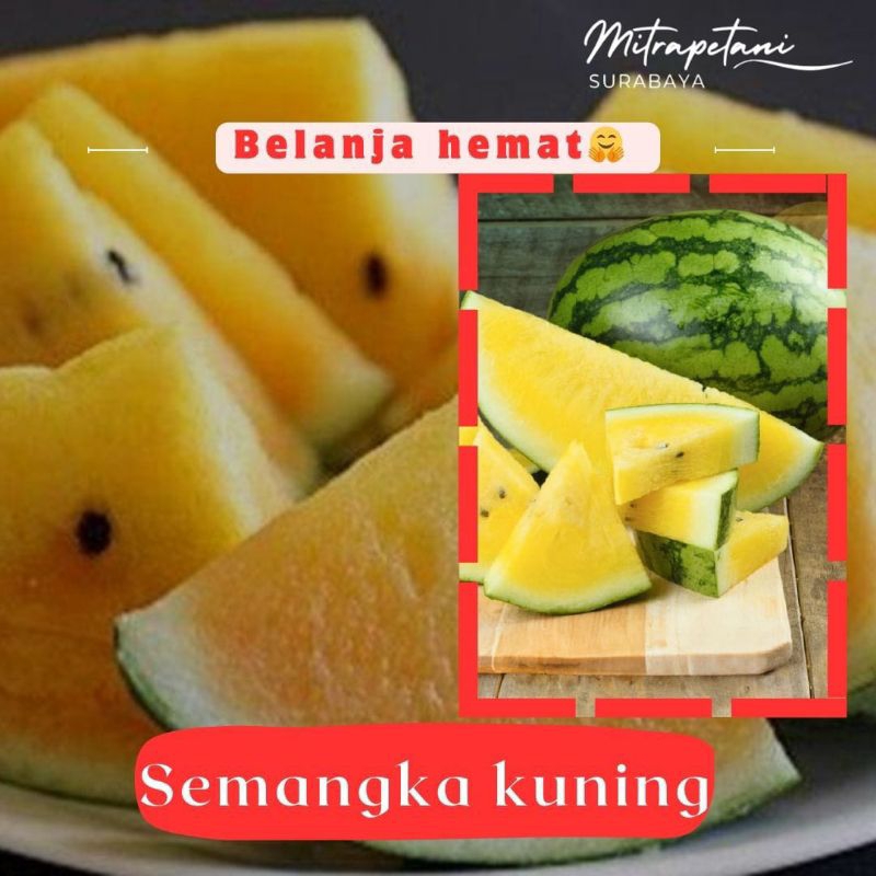 

semangka kuning,semangka kuning potong, semangka segar