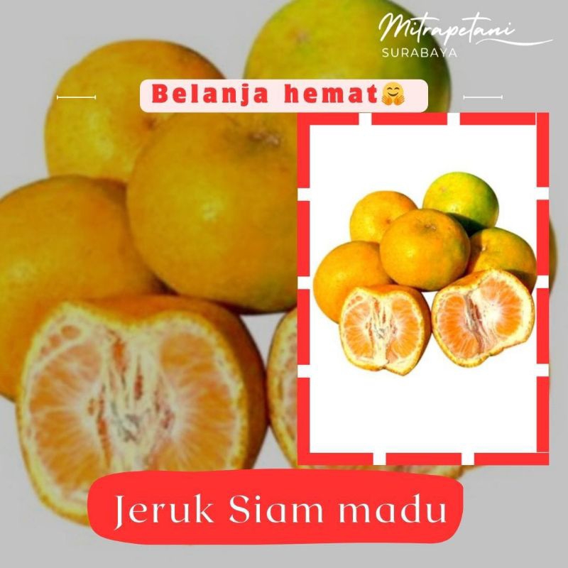

Jeruk siam madu, jeruk siam madu segar