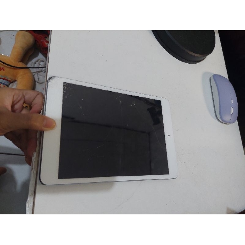 ipad mini 3 minus mati