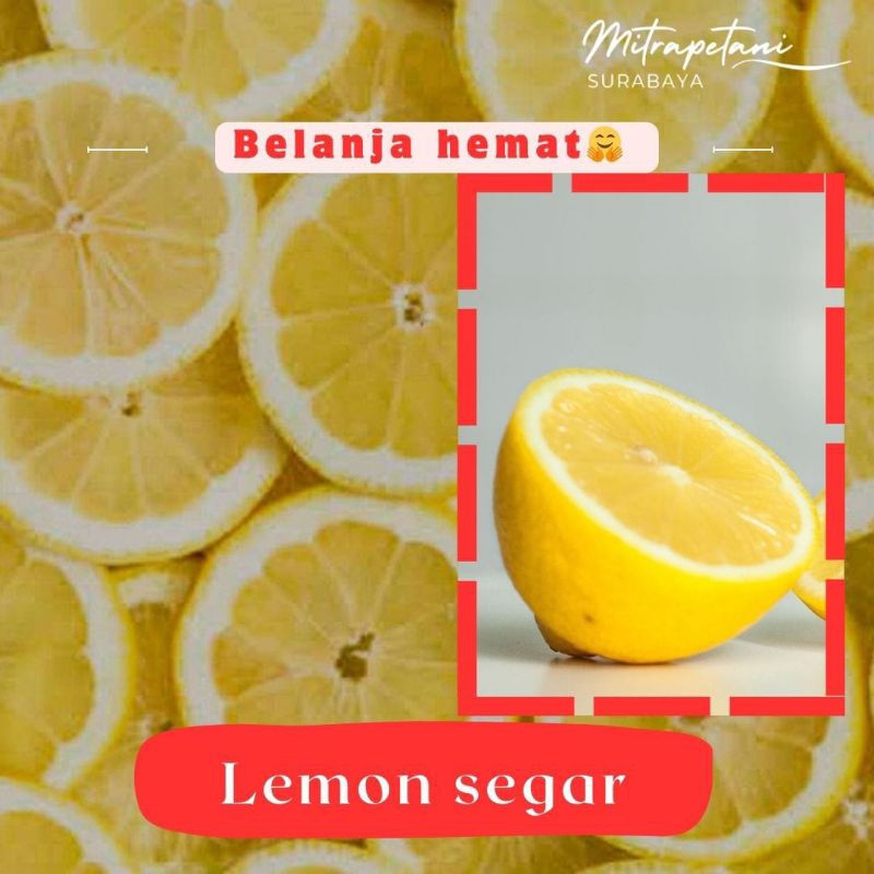 

Lemon lokal california, buah lemon, lemon fresh,lemon California