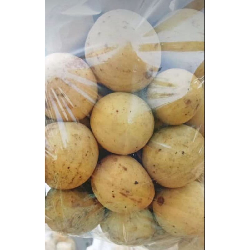 buah duku segar manis 1 kg