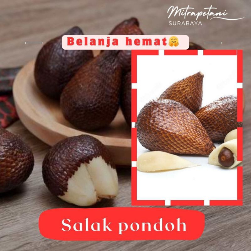 

Salak pondoh jogja, buah salak pondoh,salak pondoh