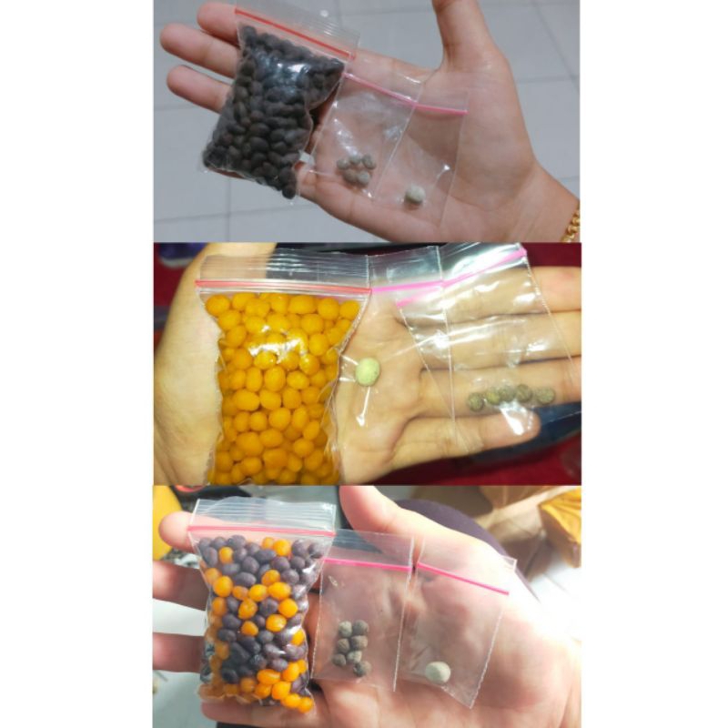 

LEBIH MURAH JAMU PAKET LENGKAP(BUNDLING)