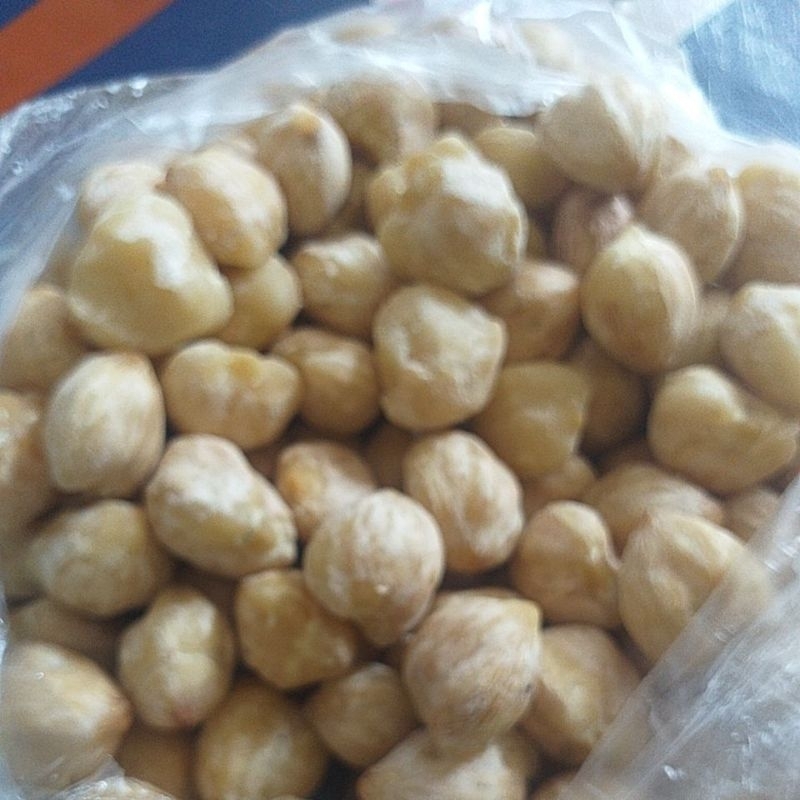 

kemiri NTT