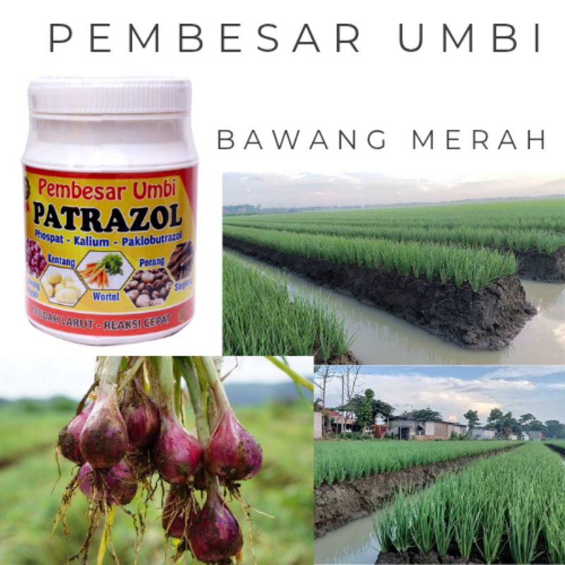 Pupuk Pembesar Umbi Bawang Merah Patrazol 450 gr