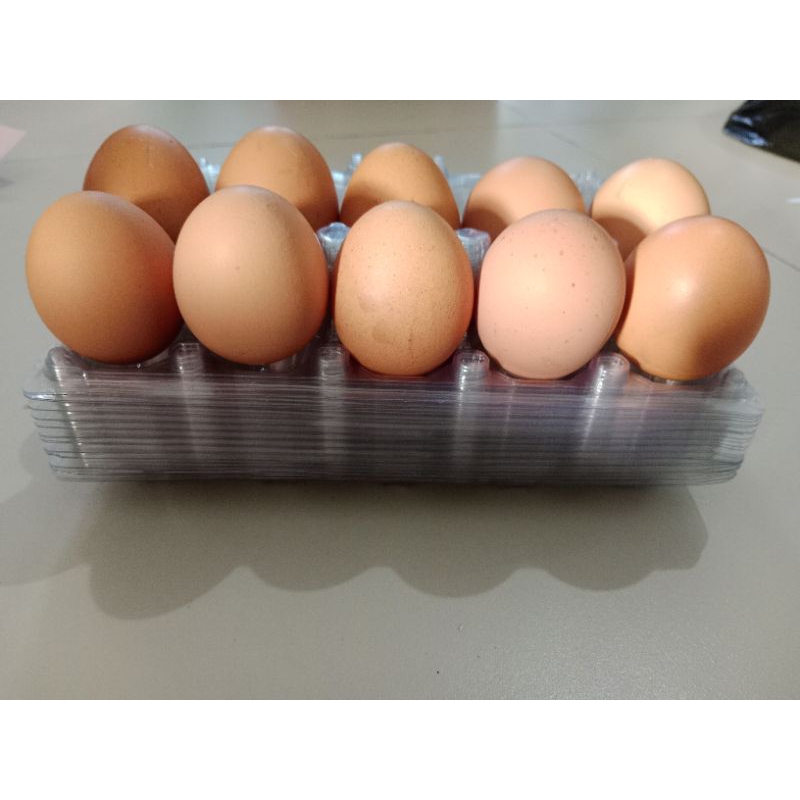 

telur ayam jumbo/besar/fresh