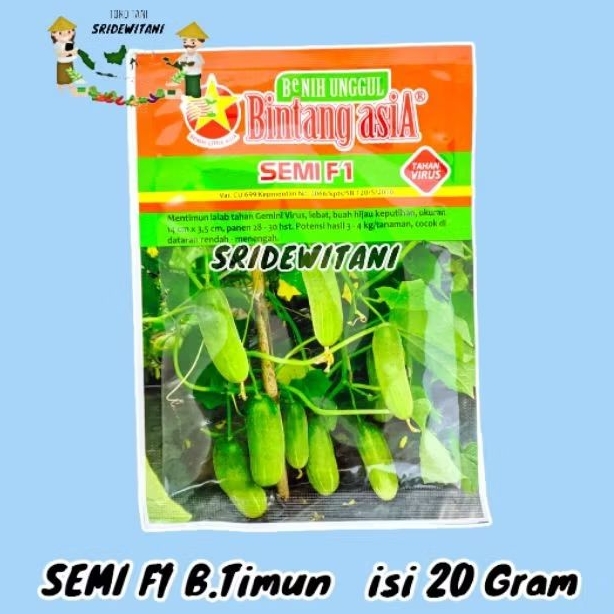 BIBIT BENIH TIMUN SEMI F1 20 GRAM CAP BINTANG ASIA