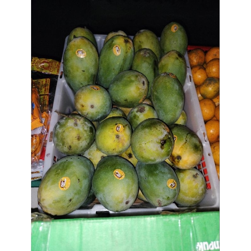 

mangga Arum manis