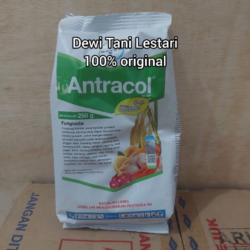 Antracol Fungisida Obat Jamur Tanaman