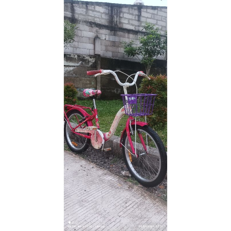 Sepeda Anak Perempuan Wimcycle 20 inch