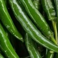 

cabe hijau besar