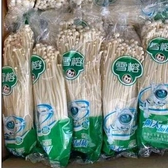 

jamur Enoki 1bungkus