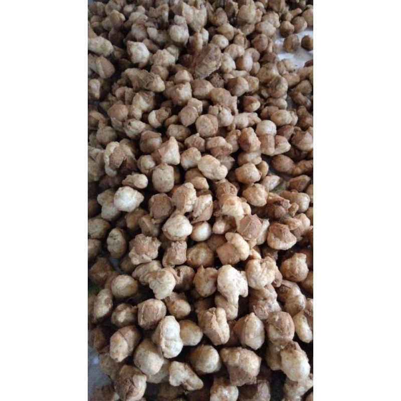 

cuanki tahu isi 100biji