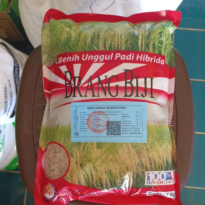 

Benih Unggul padi Hibrida Brang Biji 1KG