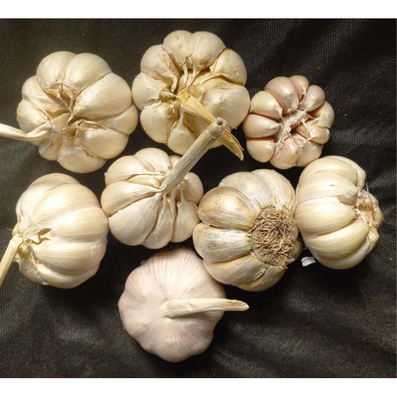 

Bawang Putih bersih kualitas bagus berat 250 gran/ 500 gram/ 1000 gram